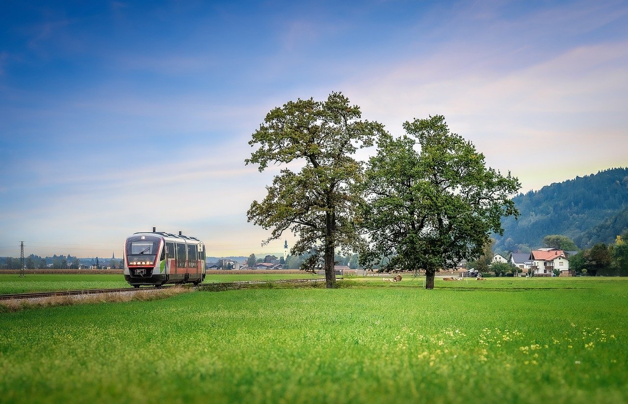 How to Use Natural Elements to Frame Your Travel Photos